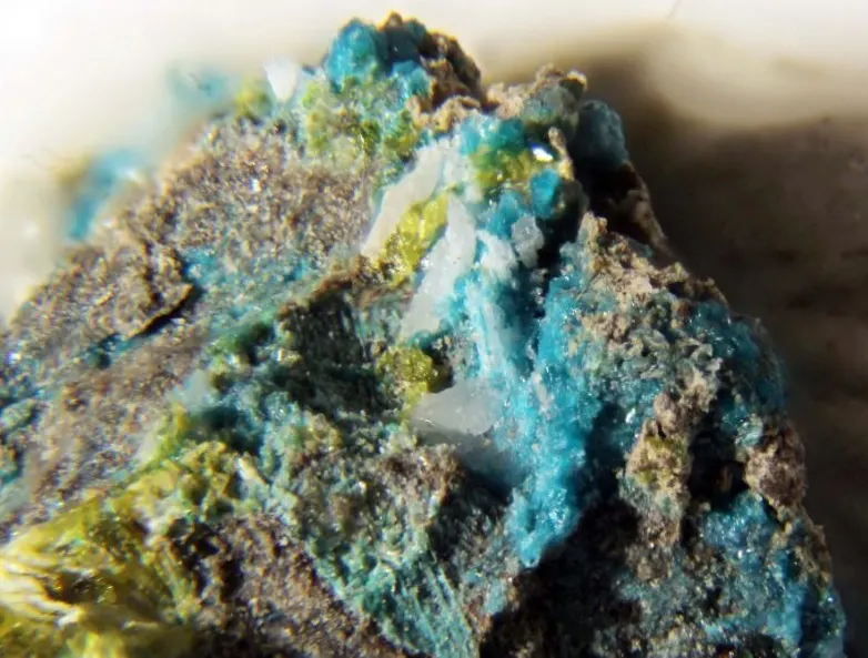 Mbobomkulite.jpg