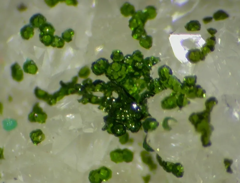 Mcalpineite-387891.jpg