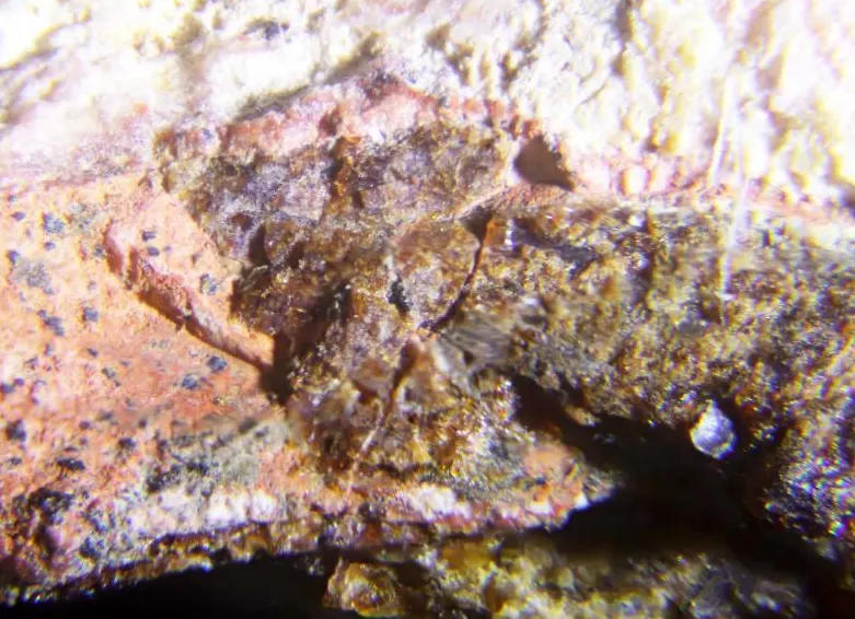 Melanocerite-(Ce).jpg
