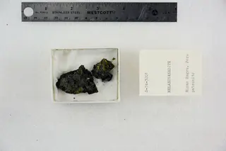 Melanovanadite with Patronite (48140058723).jpg