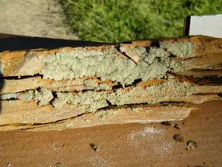 Melanterite-253611.jpg