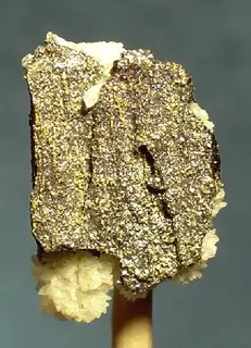 Melonite-Calaverite-219105.jpg