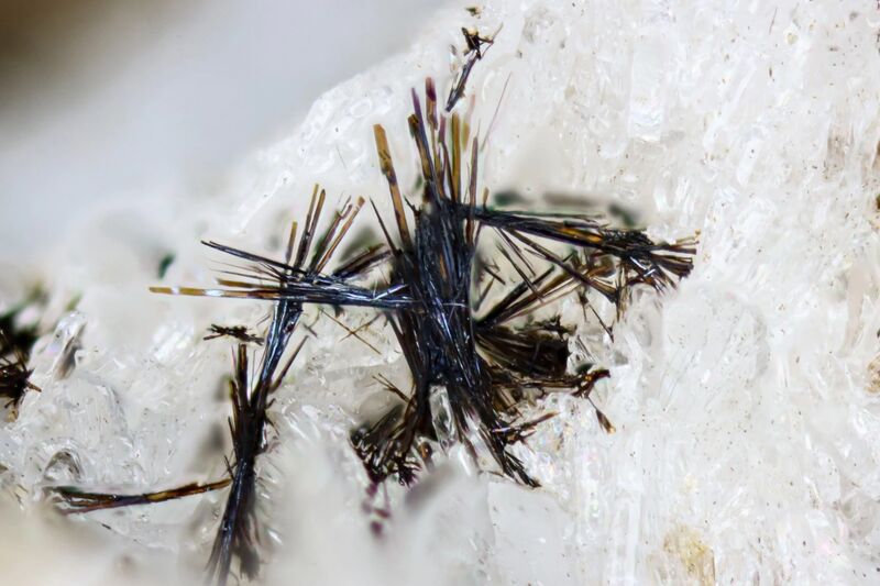 Mendigite