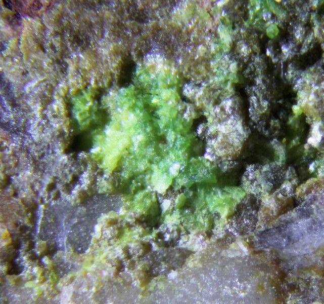 Mendozavilite-NaCu