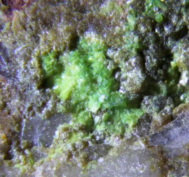 Mendozavilite-NaCu.jpg