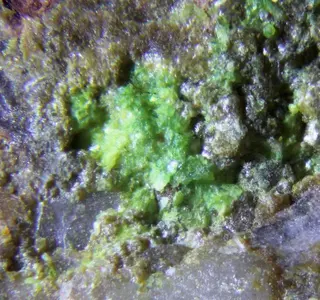 Mendozavilite-NaCu.jpg