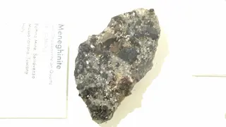 Meneghinite - Harvard Museum of Natural History.jpg
