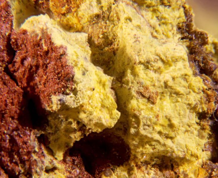 Steigerite