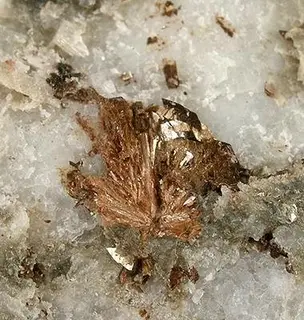 Metaswitzerite-177958.jpg