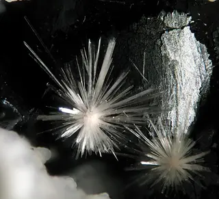 Metaswitzerite-142746.jpg