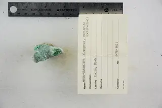 Metavariscite (Elongate) and Variscite (Octahedral) (48522539376).jpg