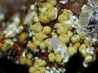 Meurigite-K-100972.jpg
