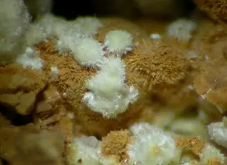 Meurigite-K-Ruifrancoite-109495.jpg