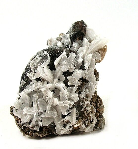 Meyerhofferite