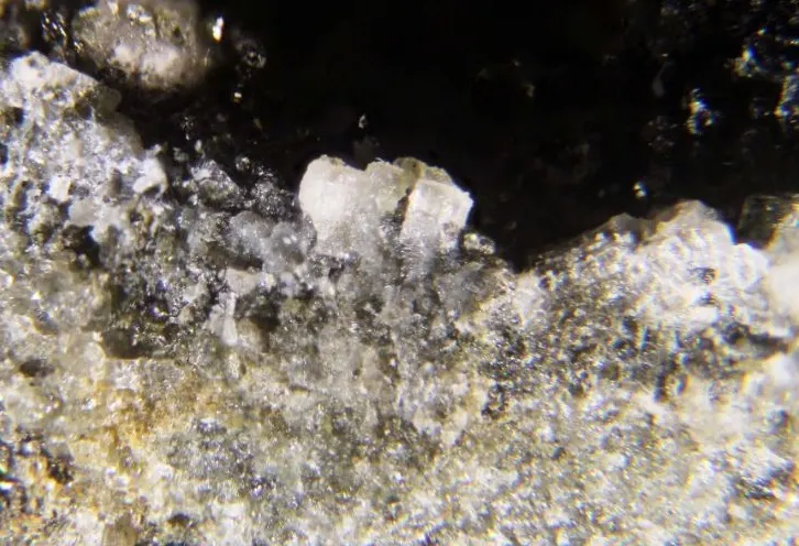 Microsommite.jpg