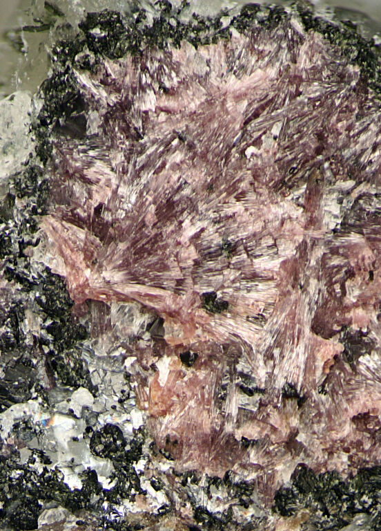 Miserite