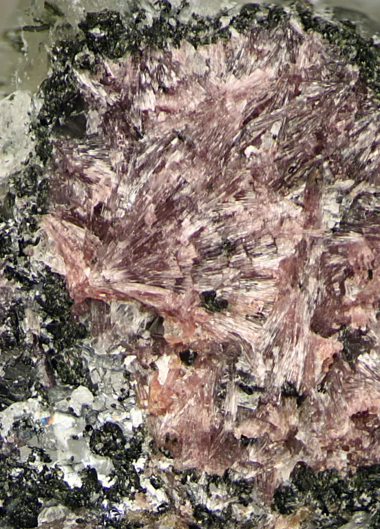 Miserite-177631.jpg