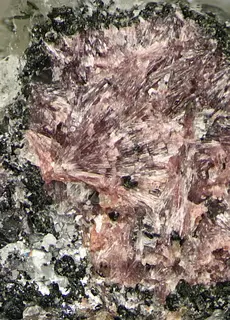 Miserite-177631.jpg