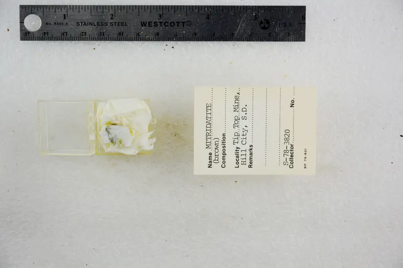 Mitridatite (Brown) (48522539721).jpg