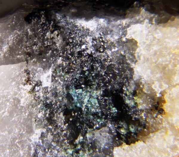 Mohite