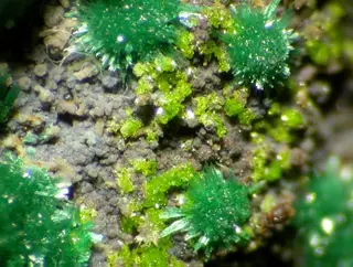 Molybdofornacite-108710.jpg