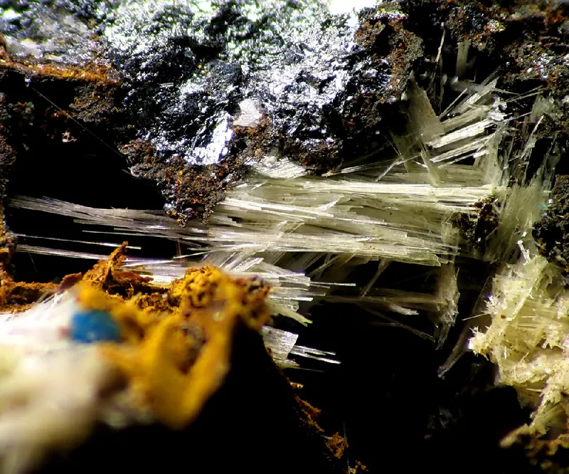 Molybdomenite-107146.jpg
