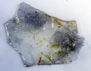 Molybdophyllite.jpg