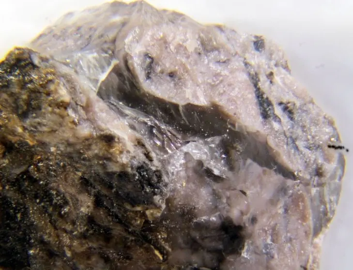 Mongolite.jpg