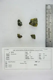 Montbrayite (48603511627).jpg