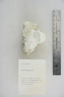 Aphthitalite with Halite, Sulphohalite, and Borax altering to Tincalconite (48002924171).jpg