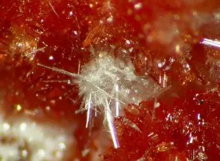 Tiptopite-Montgomeryite-91815.jpg