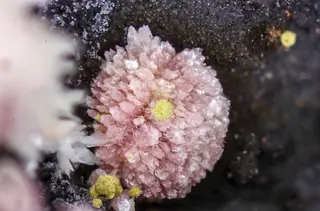 Montgomeryite13278-1.jpg