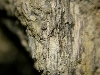 Mopungite-92475.jpg