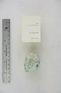 Morenosite (48140128226).jpg