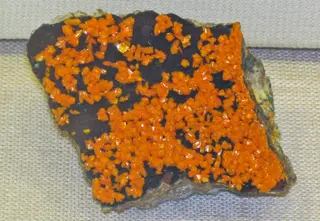 Francevillite-mounanaite (Mounana Mine, Franceville, Gabon, Africa) (31205942471).jpg