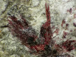 Mozartite-108835.jpg