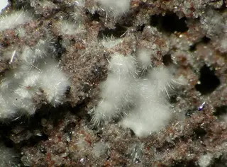 Mullite-102483.jpg
