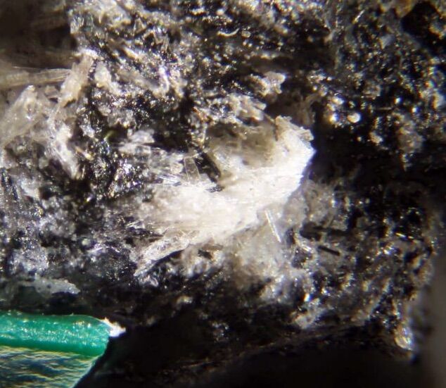 Nacareniobsite-(Ce)