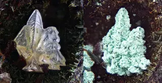 Nantokite twin.jpg