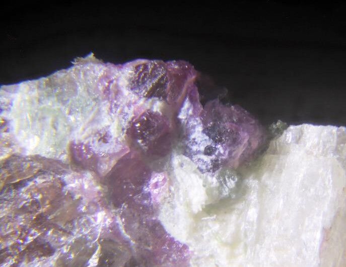Aqualite