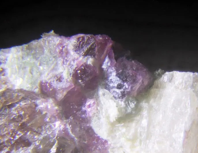 Aqualite.jpg