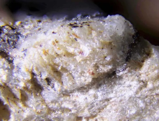 Nasledovite.jpg