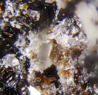 Nasonite over Manganophyllite.jpg