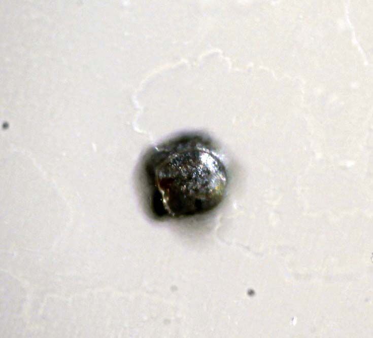 Native Aluminium