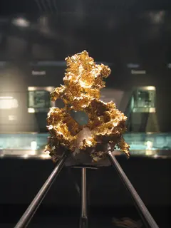 Gold on display.jpg