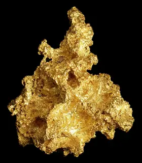Gold-cat12a.jpg