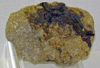 Selenium in sandstone (Westwater Canyon Member, Morrison Formation, Upper Jurassic; Section 23 Mine, north of Grants, New Mexico, USA) 2 (17493806666).jpg