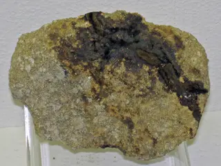 Selenium in sandstone (Westwater Canyon Member, Morrison Formation, Upper Jurassic; Section 23 Mine, north of Grants, New Mexico, USA) 3 (17518057352).jpg