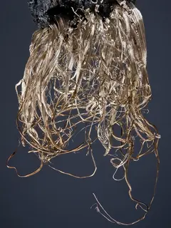 Native Silver filaments (cropped).jpg