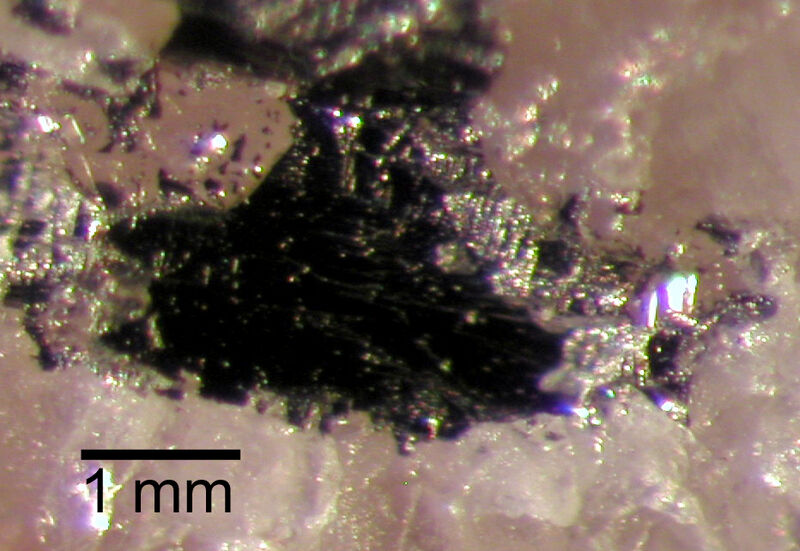 Native Tellurium